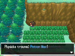 Fichier:Route 11 Potion Max N2B2.png