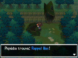 Fichier:Forêt d'Empoigne Rappel Max N2B2.png