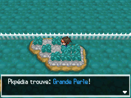 Fichier:Pont du Hameau Grande Perle N2B2.png