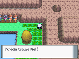Fichier:Route 205 Miel DP.png