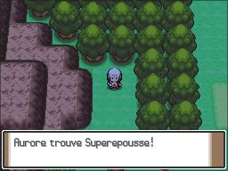 Route 210 Superepousse Pt.png