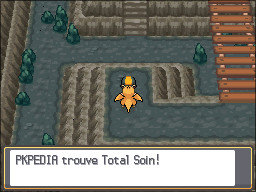 Fichier:Route Victoire Total Soin HGSS.png