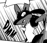 Lucario de Cynthia-PDPA.png