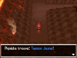 Fichier:Mont Renenvers Tesson Jaune Bl2.png