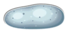 Souterrain Pierre Stase DEPS.png