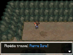 Chemin Enfoui Pierre Dure N2B2.png