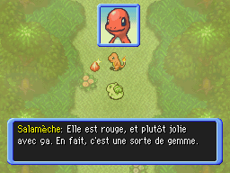 Forêt Brumeuse (3) PDMTO.png