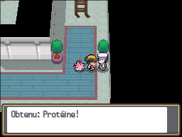 Phare Protéine HGSS.png