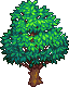 Sprite Grand Arbre Ra1.png