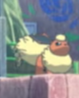 Fichier:Pyroli de Dresseur - Film 23.png
