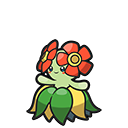 Joliflor