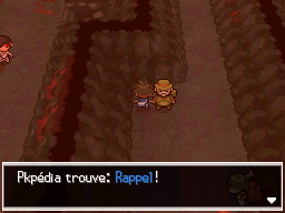 Fichier:Mont Renenvers Rappel Bl2.png
