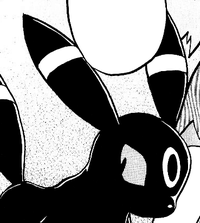 Noctali de Marion-PMS.png