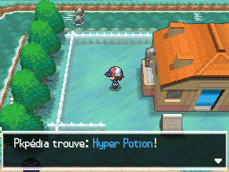 Route 6 (Unys) Hyper Potion NB.png