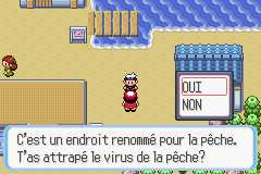 Cap ecran obtention canne rse.png