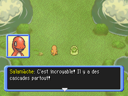 Forêt Brumeuse (4) PDMTO.png