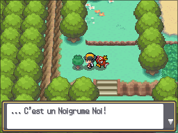 Route 1 Noigrume Noir HGSS.png