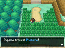 Fichier:Route 6 Protéine N2B2.png