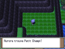 Chenal 226 Petit Champi Pt.png