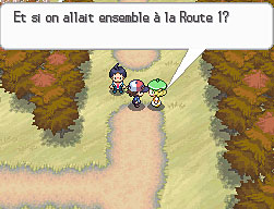 Fichier:Renouet vers la Route 1-NB.png