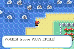 Camp de Vacances Pouss.Étoile 1 RFVF.png