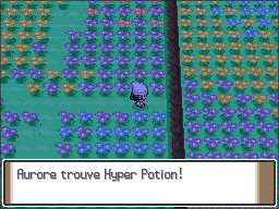 Pré Floraville Hyper Potion Pt.png