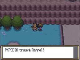 Route 25 Rappel HGSS.png