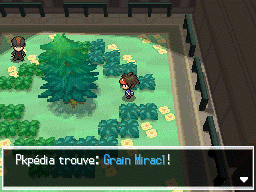 Fichier:Volucité Grain Miracl N2B2.png