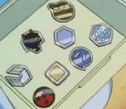 Badges de Sacha à Johto.png