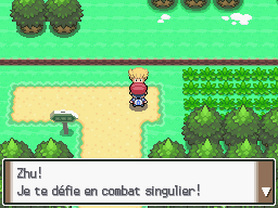 Cap ecran route 201 combat Platine.png