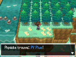 Fichier:Route 11 PV Plus N2B2.png