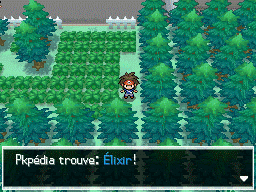 Fichier:Route 9 Élixir N2B2.png