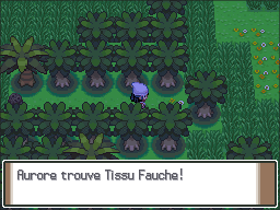 Route 229 Tissu Fauche Pt.png