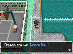 Fichier:Pont du Hameau Tesson Bleu N2B2.png