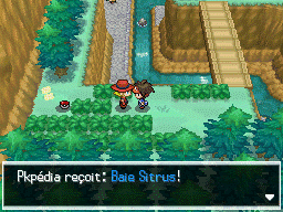 Fichier:Route 23 Baie Sitrus 1 N2B2.png