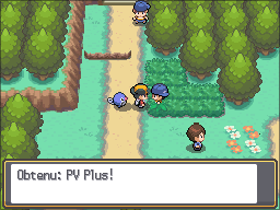 Fichier:Route 30 PV Plus HGSS.png