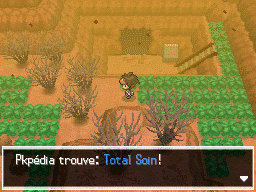 Fichier:Mont Renenvers Total Soin N2B2.png