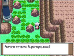 Route 206 Superepousse Pt.png