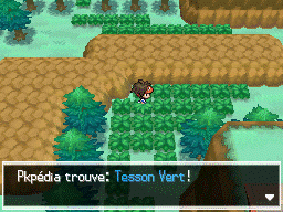 Fichier:Route 23 Tesson Vert N2B2.png