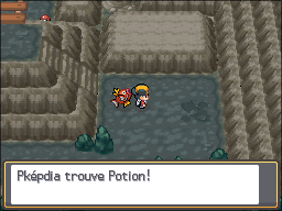 Route Victoire Potion HGSS.png