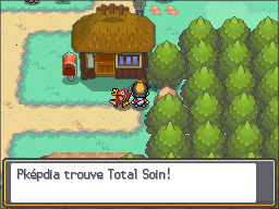 Fichier:Ecorcia Total Soin HGSS.png