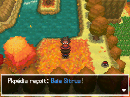 Fichier:Route 20 Baie Sitrus 2 N2B2.png