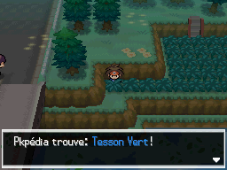 Fichier:Forêt d'Empoigne Tesson Vert N2B2.png