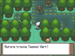 Grand Marais Tesson Vert Pt.png