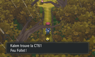 Fichier:Route 14 CT61 XY.png