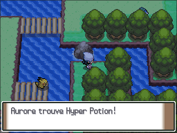 Route 209 Hyper Potion Pt.png