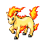 Ponyta