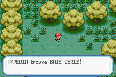 Bois Baies Baie Ceriz RFVF.png