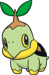 Tortipouss (5)-CA.png