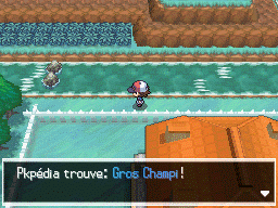 Route 6 (Unys) Gros Champi NB.png
